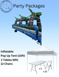 Slip N Slide Party Package Slip N Slide Party Package