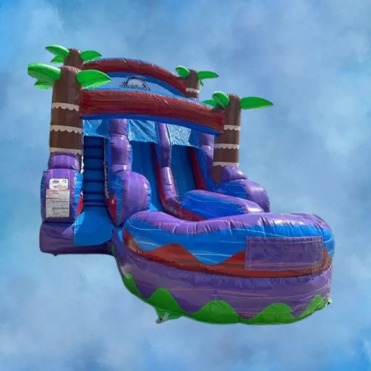 15ft DL Tropical waterslide VIP package