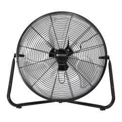 20 Fan
